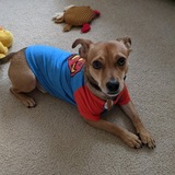 Entry image for Sebastian