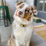 Entry image for Moira