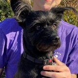 Entry image for Bruce