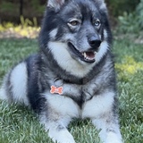 Entry image for Luke