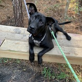 Entry image for Blue 