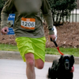 Entry image for Black Jack