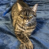 Entry image for Zukie