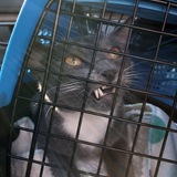 Entry image for Chad