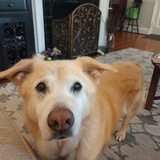 Entry image for Blondie McCloskey