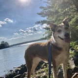 Entry image for Willa