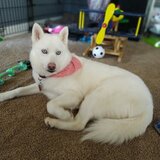 Entry image for Luna