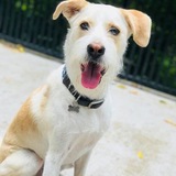 Entry image for Lenny