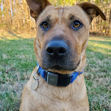 Entry image for Atlas