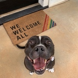 Entry image for Meatball