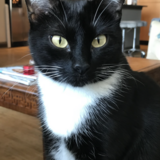 Entry image for Abbey