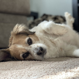 Entry image for Matilda