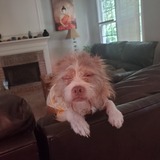 Entry image for Itty bitty