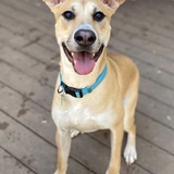 Entry image for Tanner