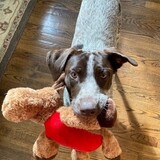 Entry image for Coco