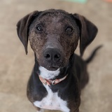 Entry image for Betty