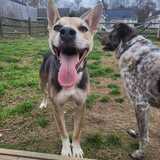 Entry image for Finley