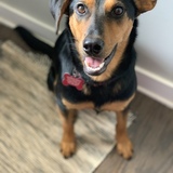 Entry image for Chuck