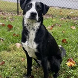 Entry image for Zeke