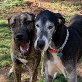 Entry image for Ellie&Ollie