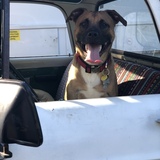 Entry image for Zeppelin