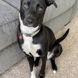 Entry image for Nora