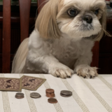 Entry image for Ollie.  —Poker Face!