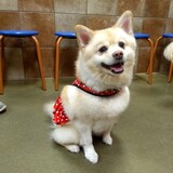 Entry image for Emma