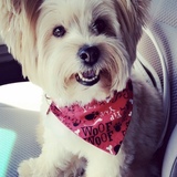 Entry image for Brinkley