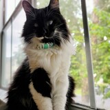 Entry image for Omar