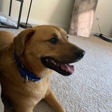 Entry image for Cardi