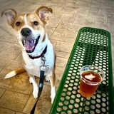 Entry image for Sammy 