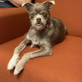 Entry image for Harriet