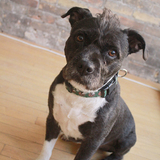 Entry image for Mando