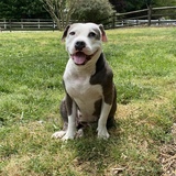 Entry image for Betty