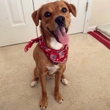 Entry image for Bebe