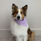 Entry image for Lucy 