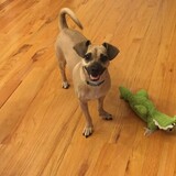 Entry image for Chloe