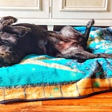 Entry image for Stryker