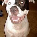 Entry image for Percy