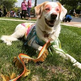 Entry image for Keelan