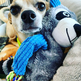 Entry image for Rusty 