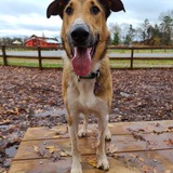 Entry image for Eoin