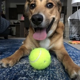 Entry image for Luke