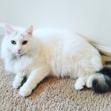 Entry image for Katie