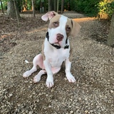 Entry image for Bronson