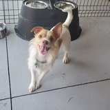 Entry image for Oliver