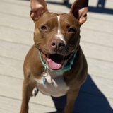 Entry image for Julep