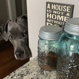 Entry image for Waldo 