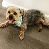 Entry image for Sophie